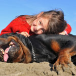 enfant et son chien sur la plage