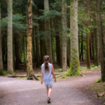 personalized learning