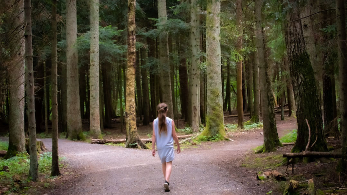 personalized learning